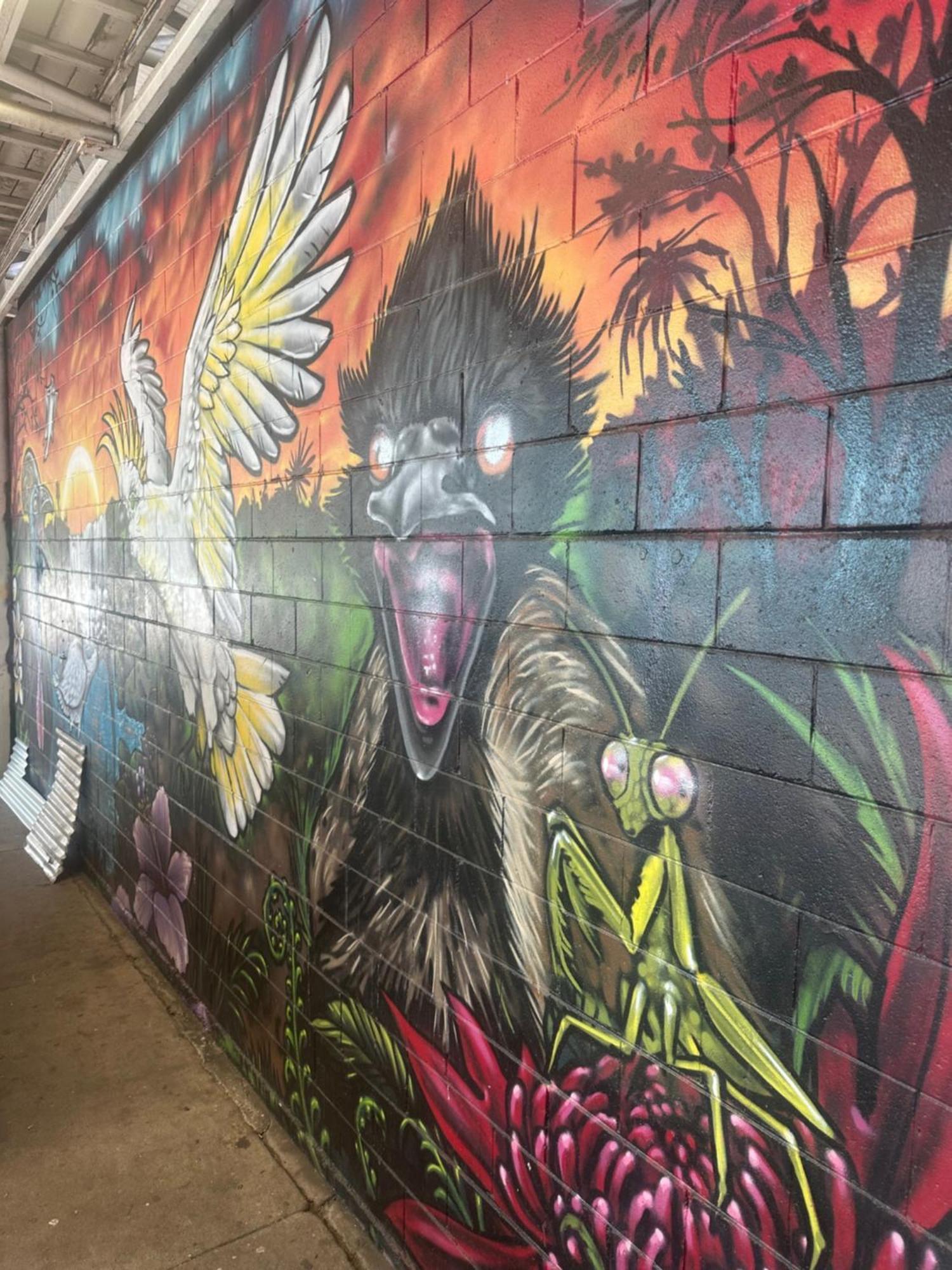 Auberge de jeunesse Habitat Backpackers à Brisbane Extérieur photo